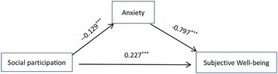 The impact of social participation on Subjective Wellbeing in the older adult: the mediating role of anxiety and the moderating role of education